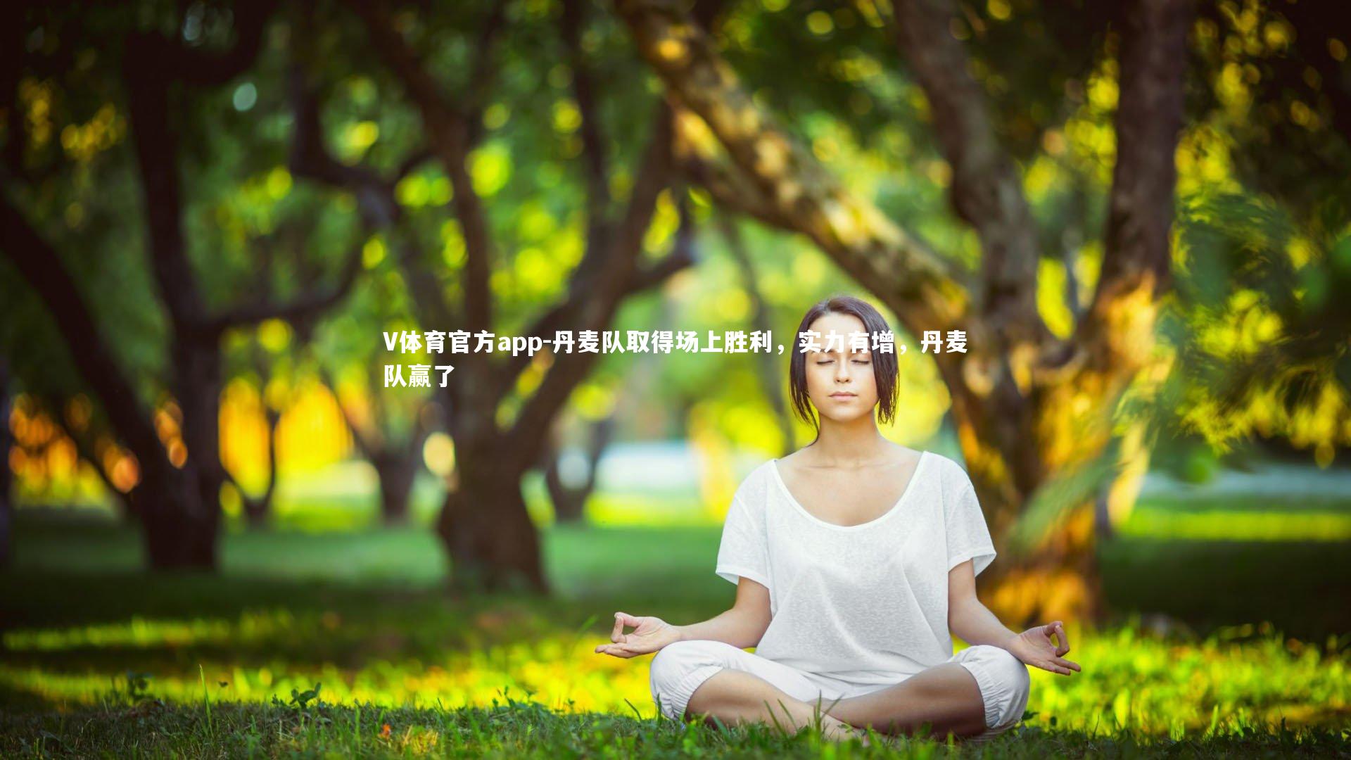 V体育官方app-丹麦队取得场上胜利,实力有增,丹麦队赢了